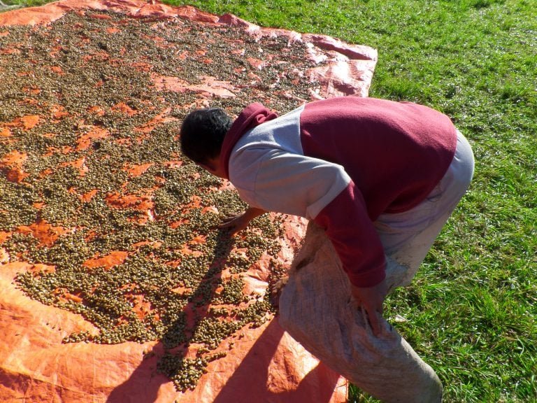 Agriculture Business Program