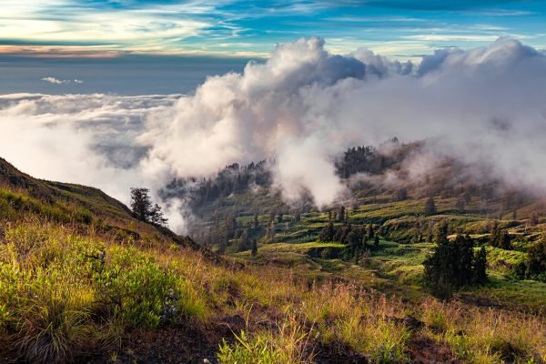 landscape-4562844_1280
