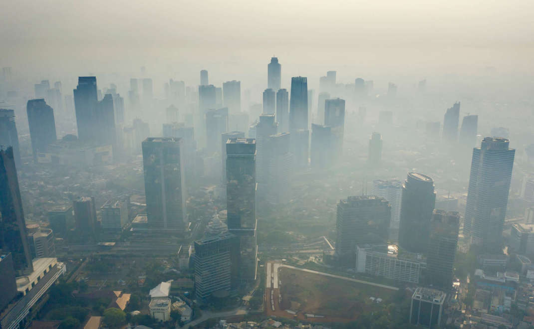 Deforestasi di Indonesia