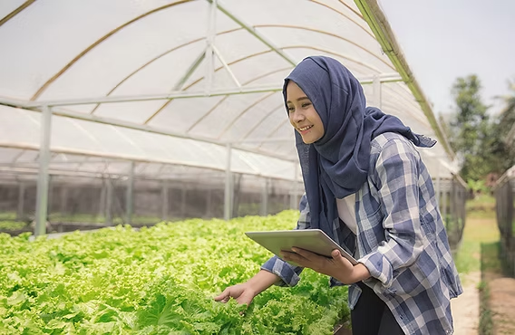 Peran Anak Muda Pertanian