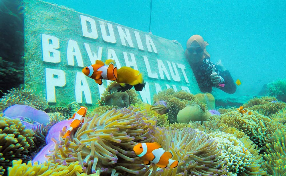 Keajaiban Dunia Bawah Laut, Apa Saja?