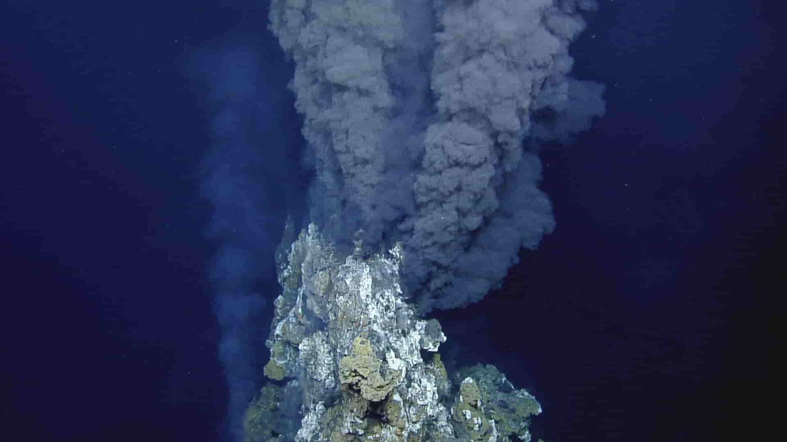 keajaiban dunia bawah laut