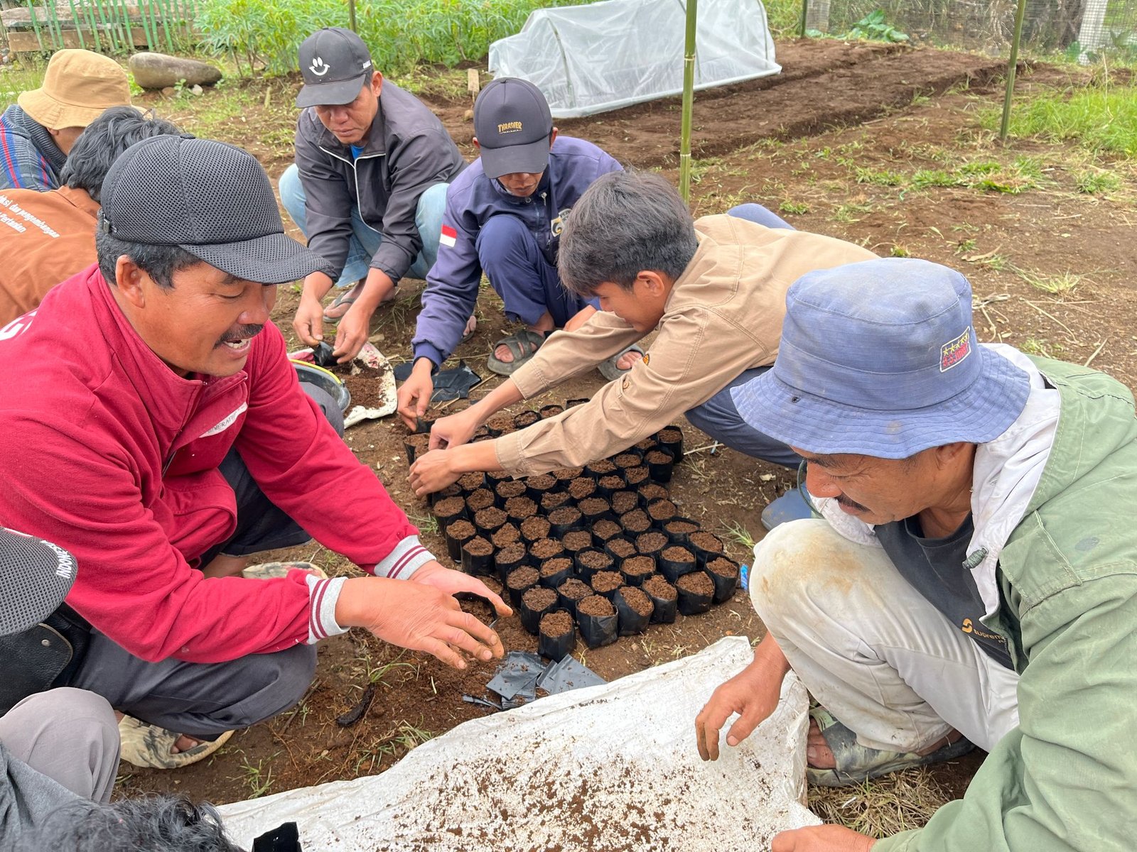 pertanian kopi berkelanjutan