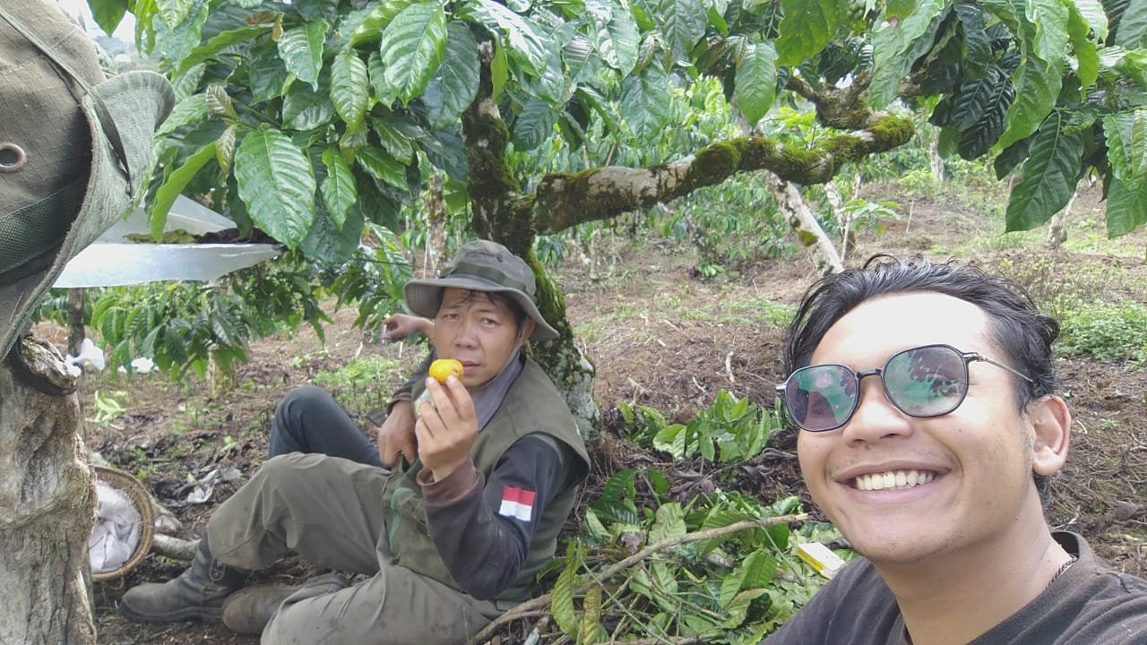 Field Officer SAVA