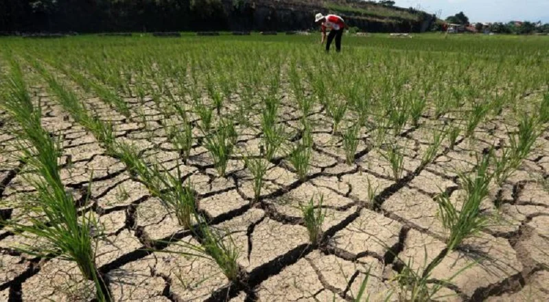 perubahan iklim di Indonesia