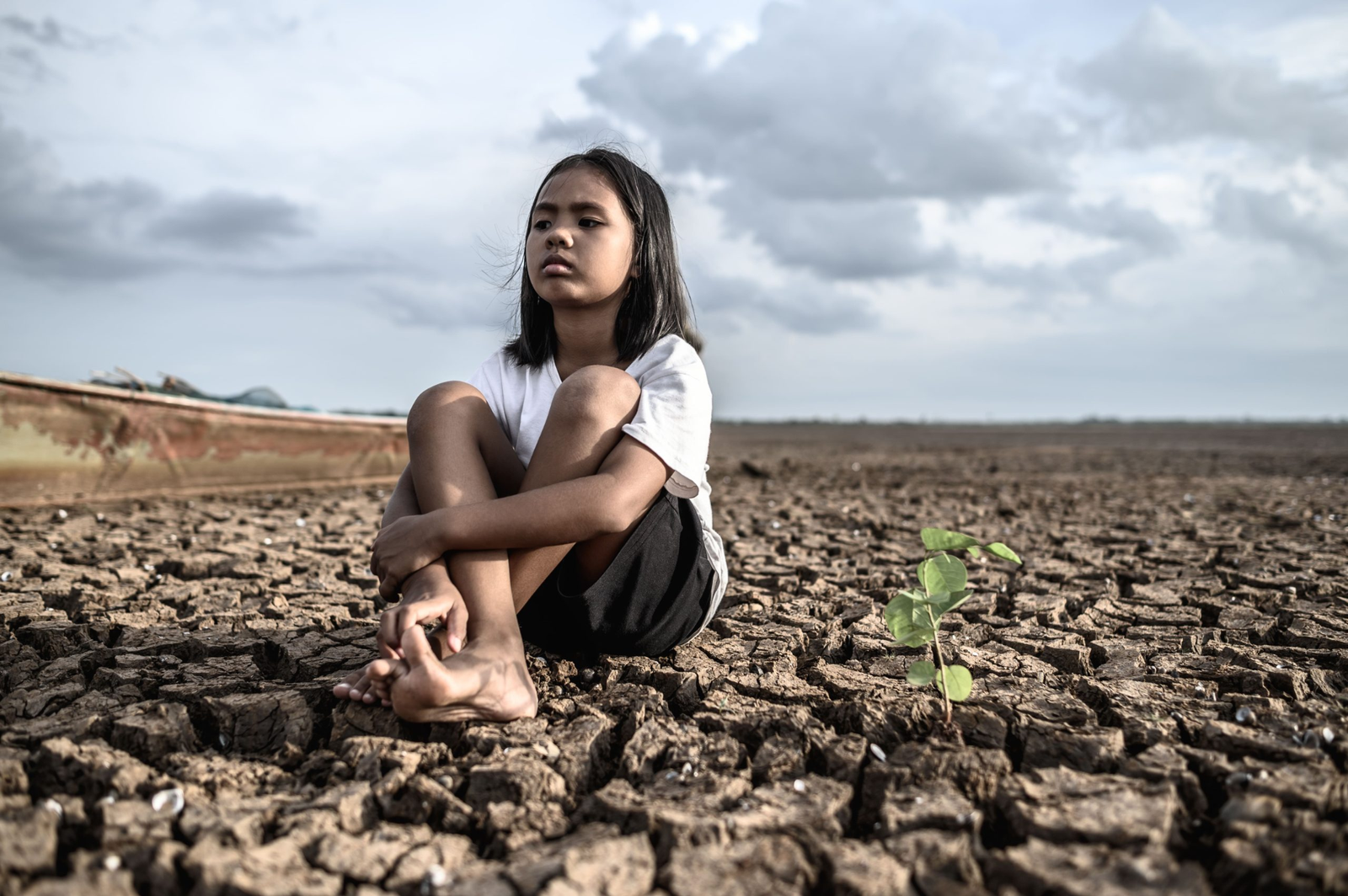 petani muda di tengah krisis regenerasi