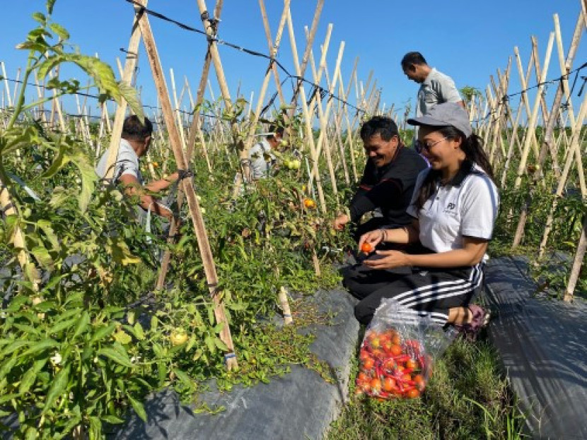 petani muda di tengah krisis regenerasi