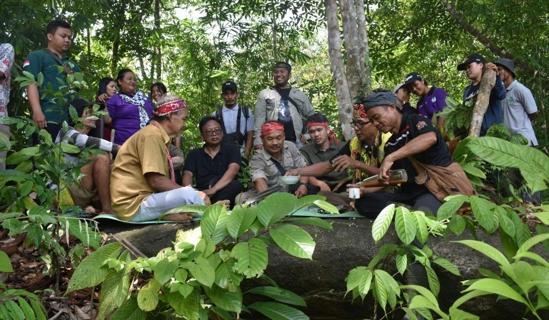Social Forestry wujud kolaborasi