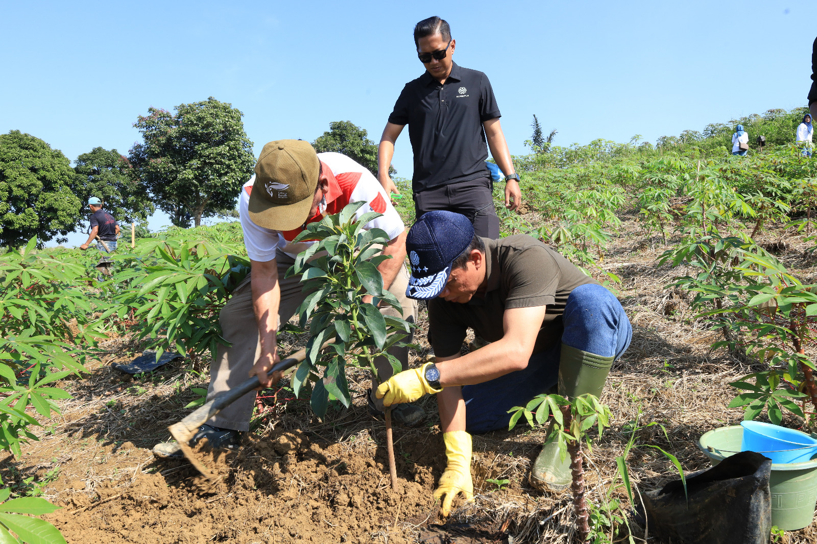 menanam satu juta pohon