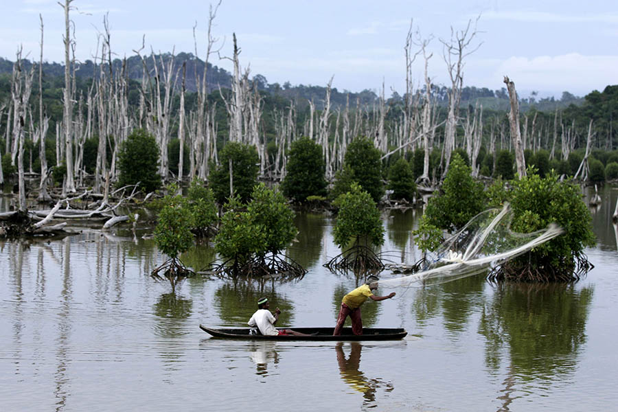 biodiversity loss di ekosistem