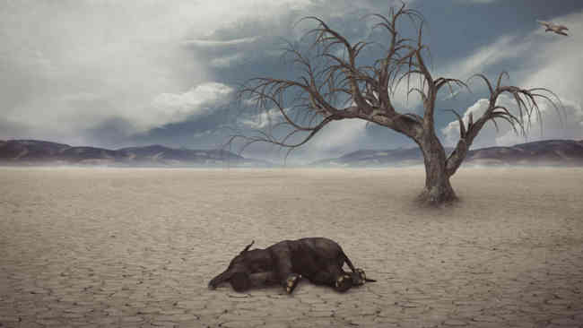 biodiversity loss di ekosistem