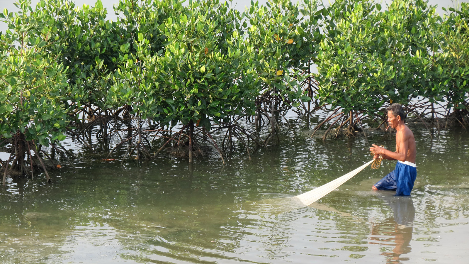 Hari Lahan Basah Sedunia