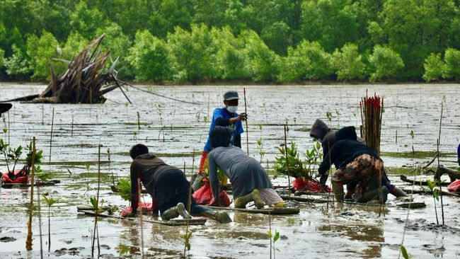 Hari Lahan Basah Sedunia