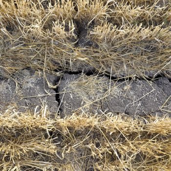 Bencana dan Krisis Iklim: Bagaimana Posisi Sektor Pertanian?