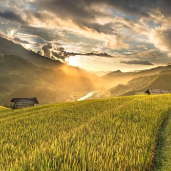 Ekonomi Inklusif dan Berkelanjutan Melalui Pertanian