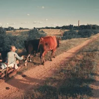 AMF Memperkuat Pemahaman Konsep LRP dalam Konteks Global