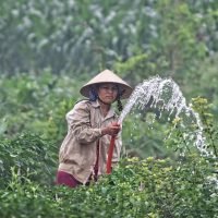 Produksi dan Konsumsi Tidak Berkelanjutan, Perempuan Merugi