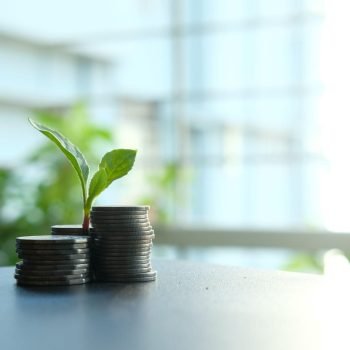 Mengecek Apakah Indonesia Mulai Menerapkan Ekonomi Hijau