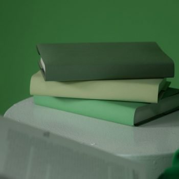 Mewujudkan Ekonomi Hijau Melalui Pendekatan Kebijakan