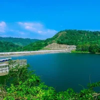 PLTA sebagai Energi Hijau, Apakah Benar-benar ‘Hijau’?