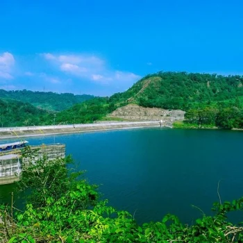 PLTA sebagai Energi Hijau, Apakah Benar-benar ‘Hijau’?