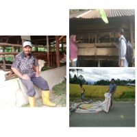 Semakin Optimis: Usaha Pertanian dan Peternakan Masyarakat di Muara Laboh Terus Berkembang