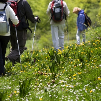 Eco-friendly Travel: Cara Bepergian tanpa Merusak Alam