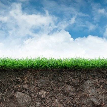 Tantangan dan Solusi Kualitas Tanah Aluvial terhadap Lingkungan Pertanian