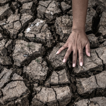 Kekeringan Meluas menjadi Dampak El Nino Mengancam Wilayah Pertanian