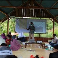 SRI dan JARWO, Terobosan Baru Cara Penanaman Padi Organik di Muara Laboh