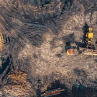 Hutan, Solusi Krisis Iklim yang Terus Terancam