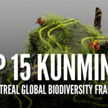 Membantu Masa Depan Bumi Menuju 2050: Kerangka Kerja Keanekaragaman Hayati Global Kunming – Montreal (KM-GBF)