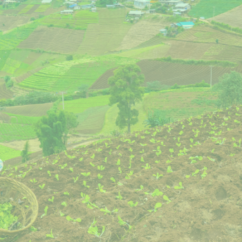 Upaya Kerja Sama dan Pelibatan Pemangku Kepentingan dalam Tata Kelola Lingkungan Desa