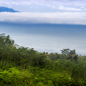 Praktik Pendanaan Konservasi Sektor Kehutanan  Dalam Tata Kelola Lingkungan Perdesaan