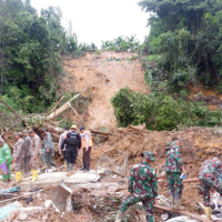 Hutan Dibabat, Satwa Tersingkir: Indonesia Diguncang Banjir dan Longsor