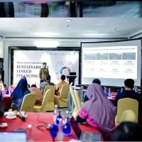 Sustainability-Linked Financing