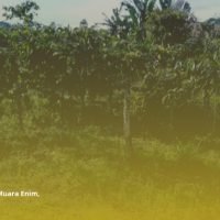 Demplot, Sarana AMF Tingkatkan Penghidupan Berkelanjutan Masyarakat Petani Terdampak Rantau Dedap