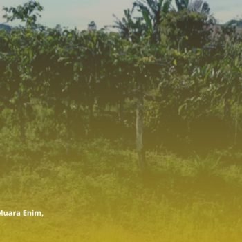 Demplot, Sarana AMF Tingkatkan Penghidupan Berkelanjutan Masyarakat Petani Terdampak Rantau Dedap