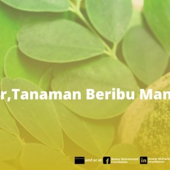 Pengembangan Tanaman Beribu Manfaat di Pekonina, Muara Laboh