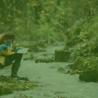 Ekonomi Hijau dan Peran dalam Mewujudkannya