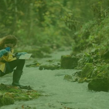 Ekonomi Hijau dan Peran dalam Mewujudkannya