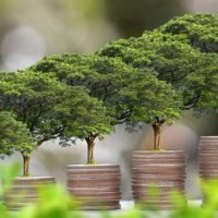 Poin Penting Sustainable Finance Action Plan WWF Indonesia