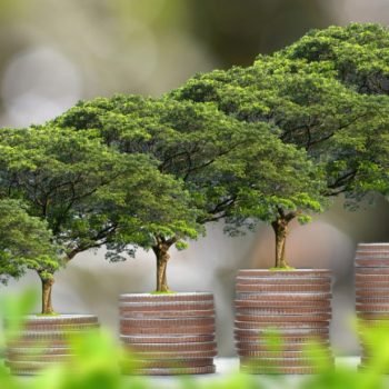 Poin Penting Sustainable Finance Action Plan WWF Indonesia