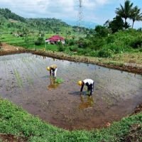 Program Pengembangan Sosial Terintegrasi di Sumatera Barat dan Sumatera Selatan