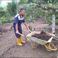 Lahan Percontohan Pertanian Kopi Organik Rantau Dedap