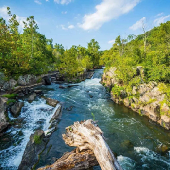 Menggali Manfaat Keanekaragaman Hayati dari Segi Petani untuk Keberlanjutan Ekosistem