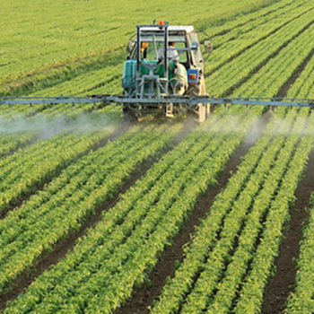 Pertanian Presisi: Kunci Ketahanan Pangan di Era Perubahan Iklim