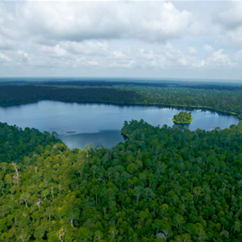 Restorasi Ekosistem: Memulihkan Keanekaragaman Hayati yang Hilang
