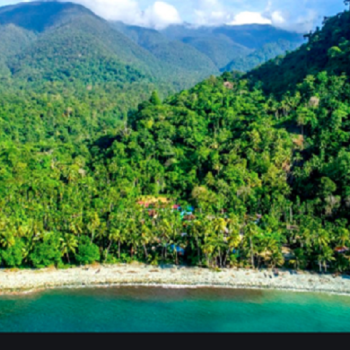 Cagar Alam Cycloop: Surga Keanekaragaman Hayati yang Terancam