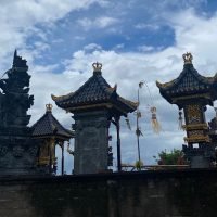 Peran AMF dalam Pembangunan Berkelanjutan Provinsi Bali